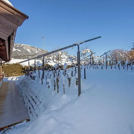 Appartement In St Johann In Tyrol With A Garden *
