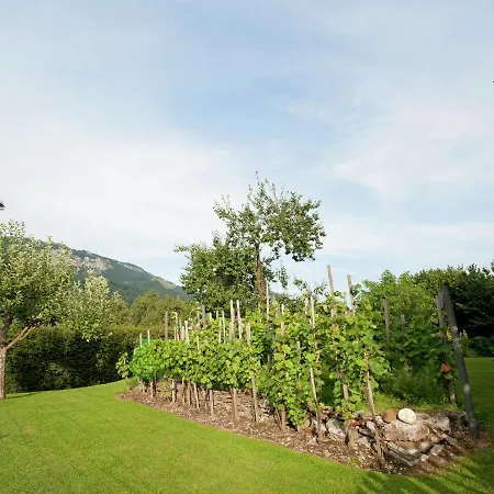 Apartman In St Johann In Tyrol With A Garden Sankt Johann in Tirol